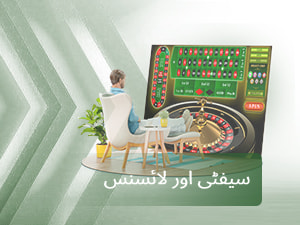سیفٹی اور لائسنس 